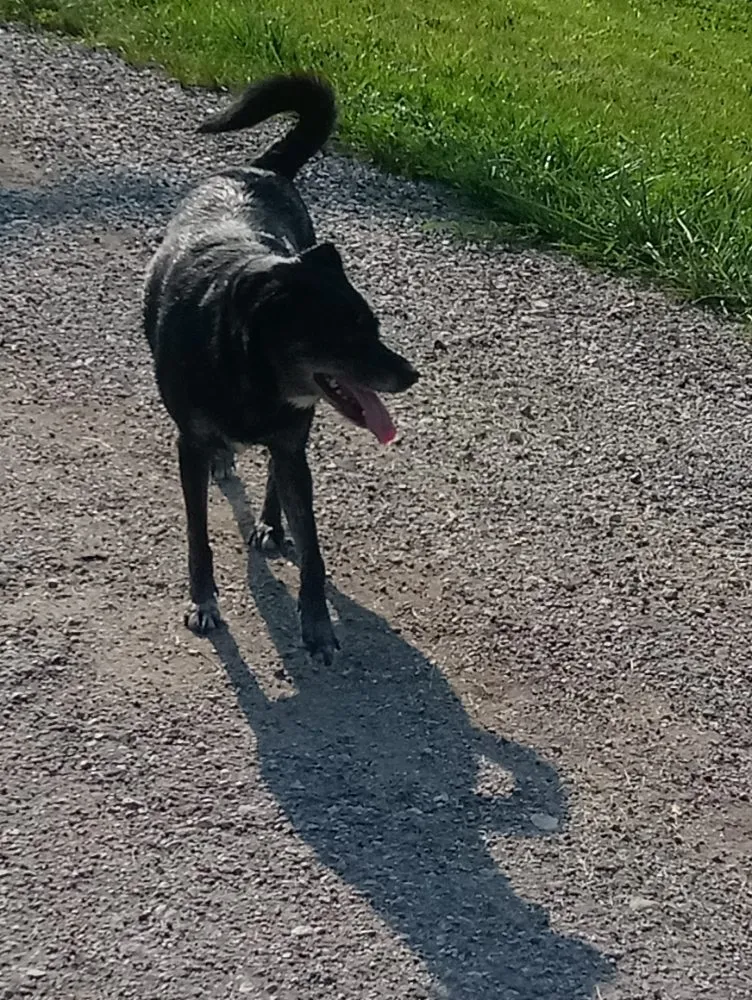 Slide of Walter Plumbing Service