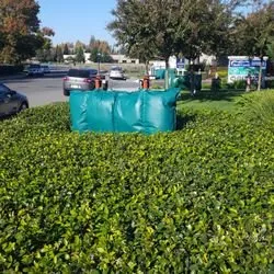 Slide of Walt's Backflow Services