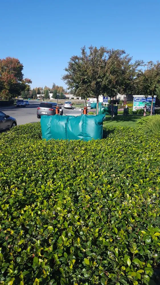 Slide of Walt's Backflow Services