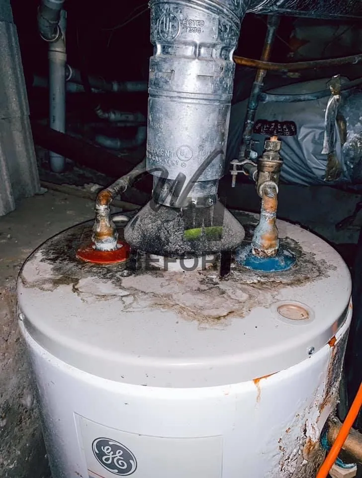 Reliable plumbing repair service in Cordova, TN - Wambo's Waterworks