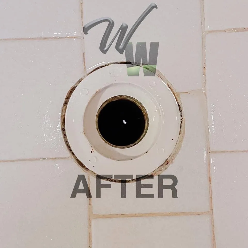 Emergency drain cleaning service in Cordova, TN - Wambo's Waterworks