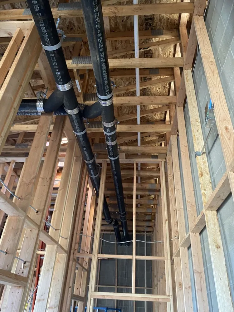 Slide of Wandering Plumber