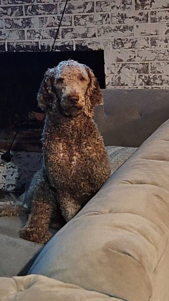 Slide of Warren Plumbing