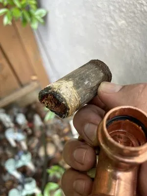 Warrior Plumbing & Drain