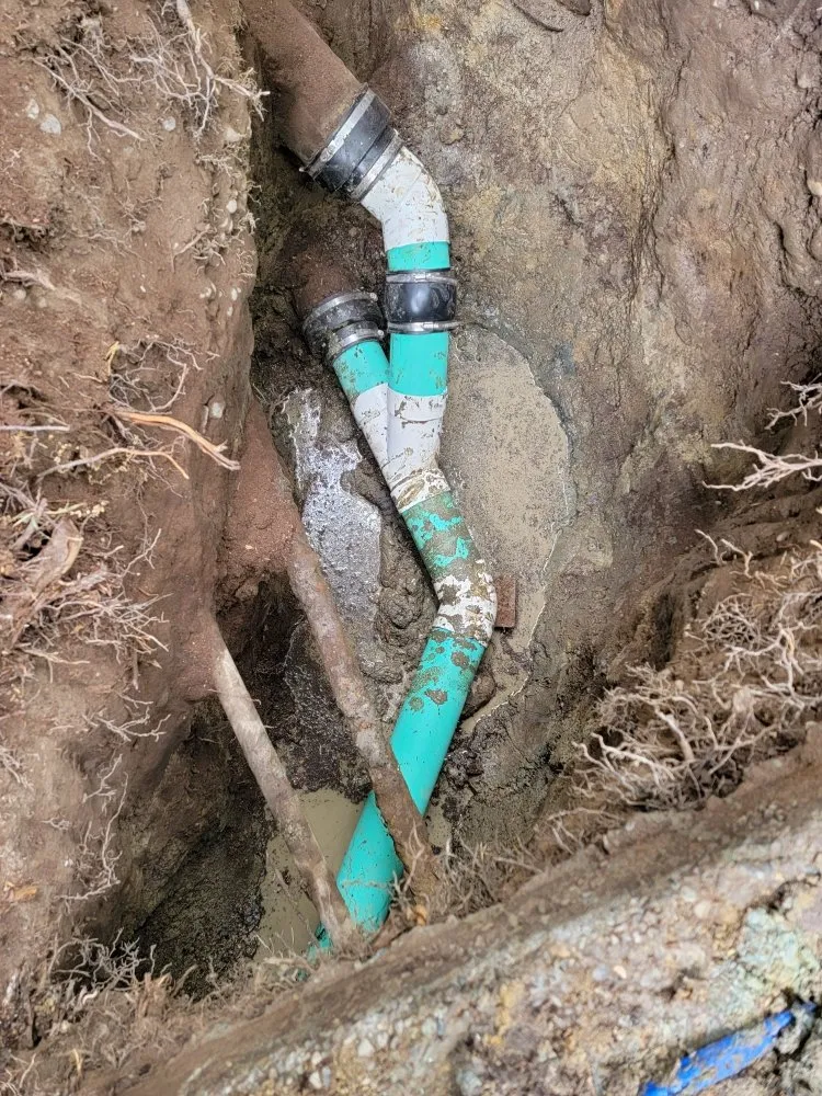 Slide of Washington Rooter