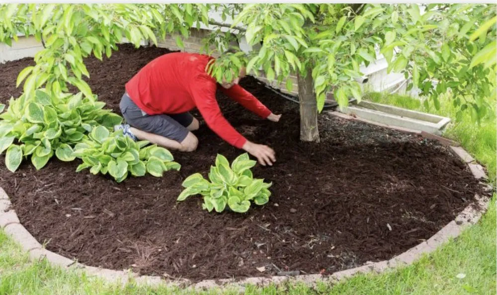 Slide of Washingtons Property Miracles