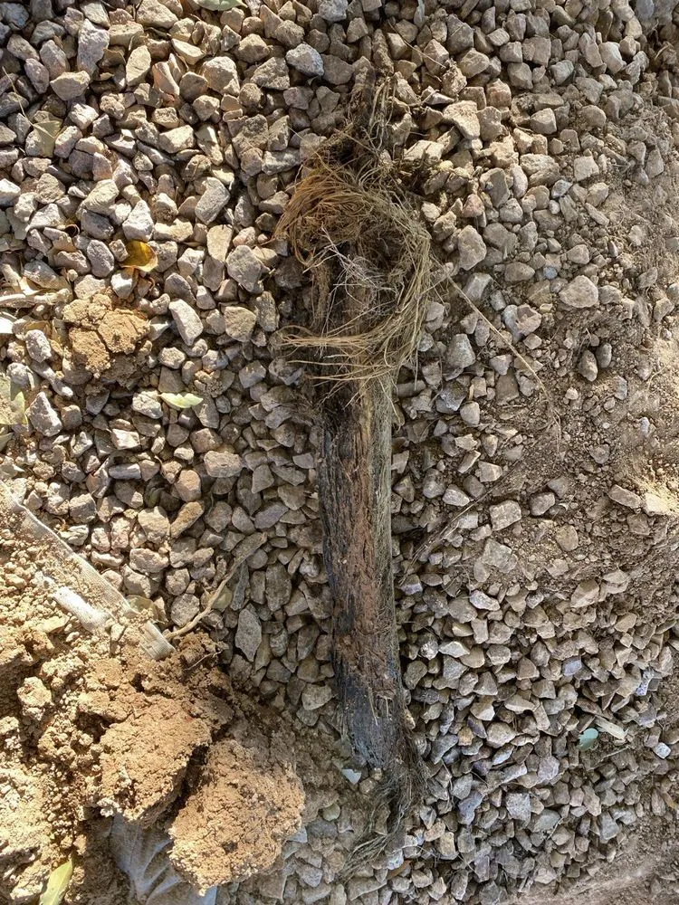 Slide of WASP Leaks & Drains