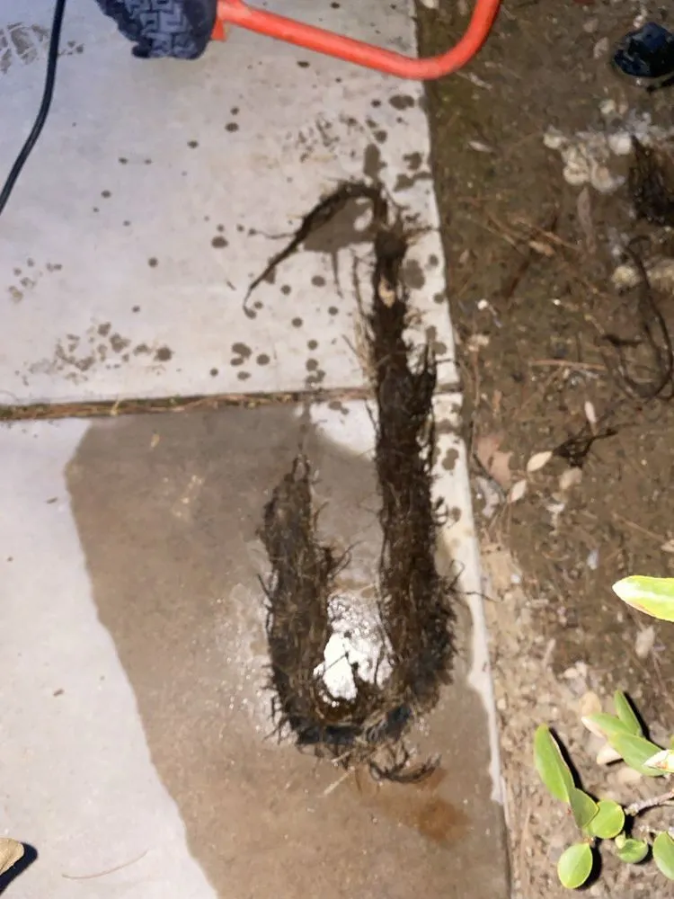 Slide of WASP Leaks & Drains
