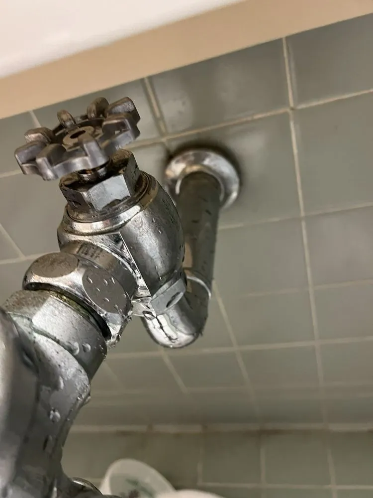 Slide of Watanabe plumbing