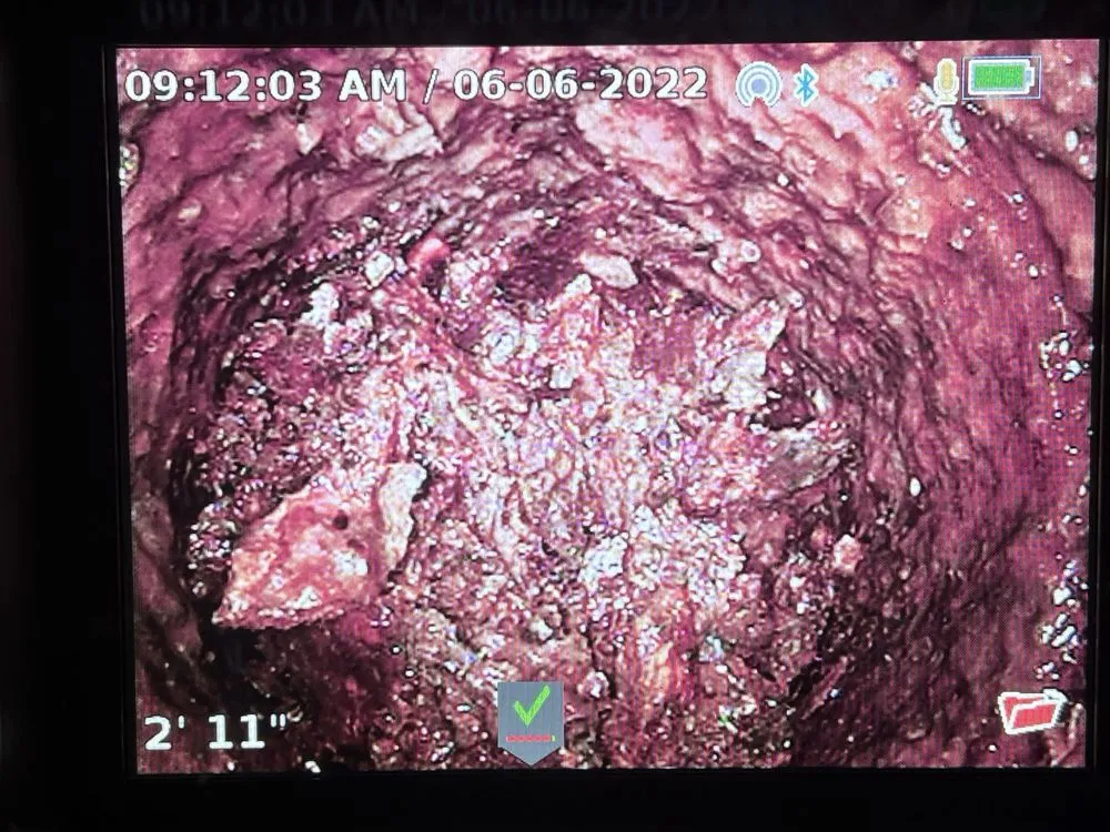 Slide of Watanabe plumbing