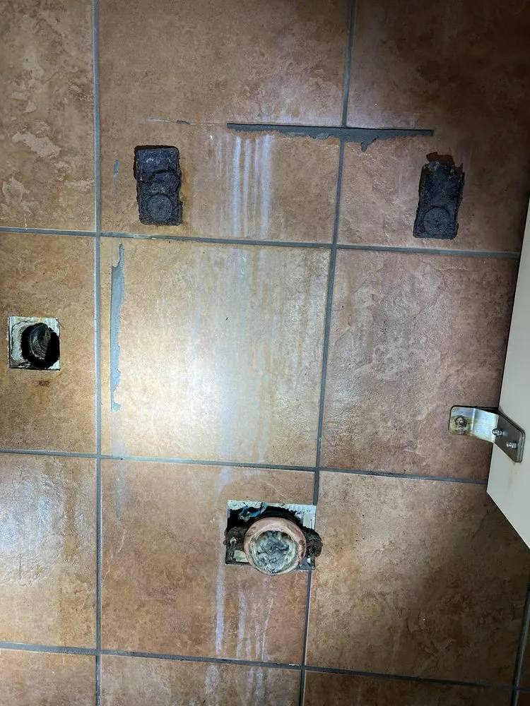 Slide of Watanabe plumbing