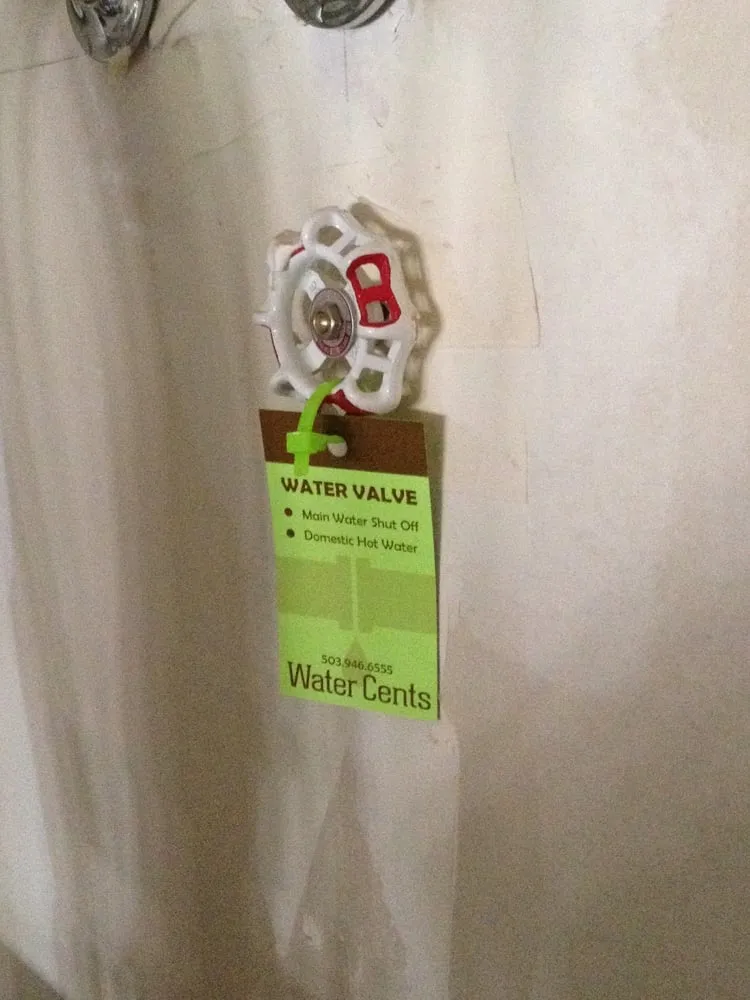 Slide of Water Cents