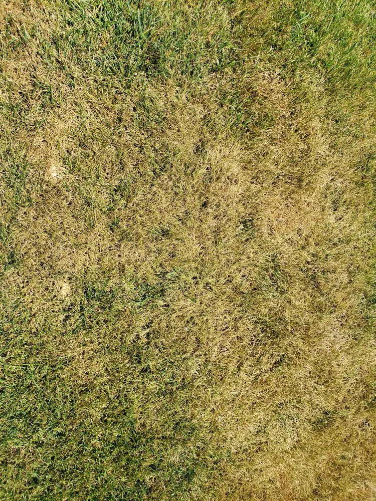 Slide of Water Color Irrigation