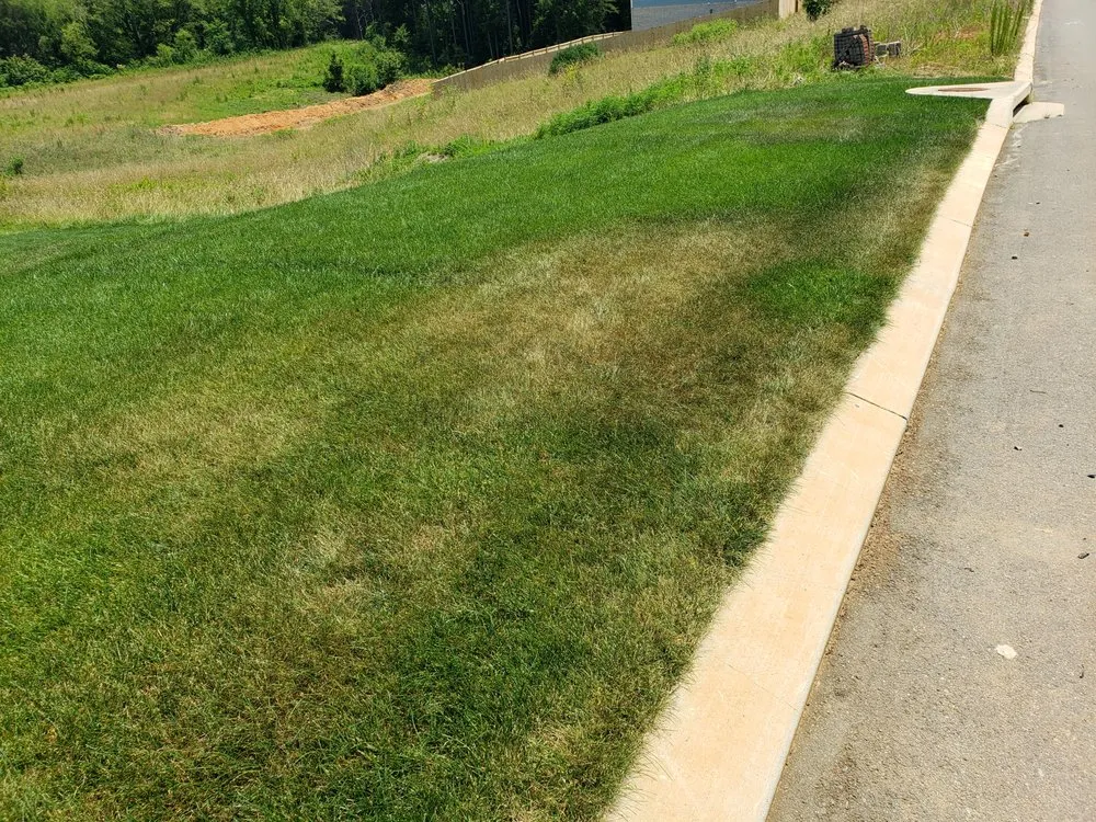 Slide of Water Color Irrigation