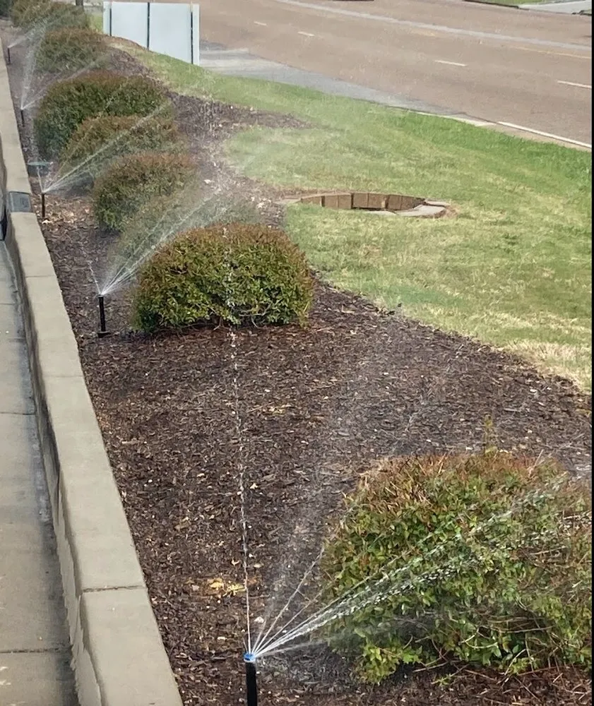 Slide of Water Color Irrigation