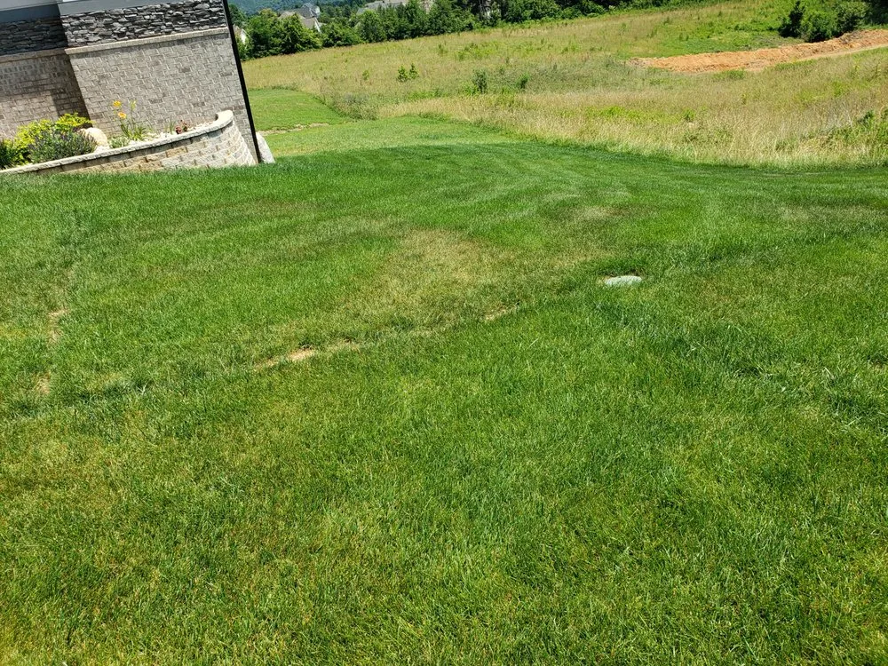 Slide of Water Color Irrigation