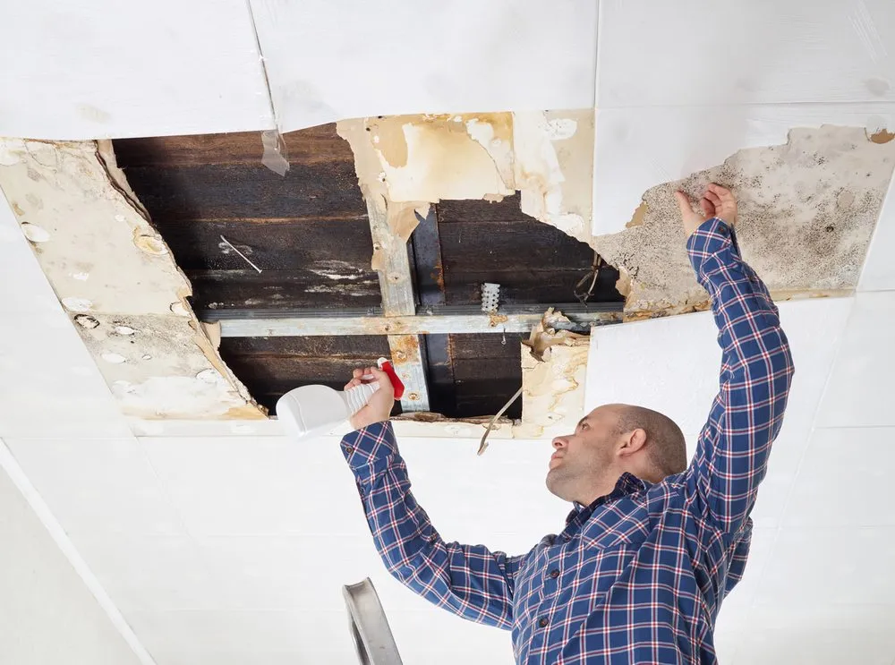 Slide of Water Damage Restoration Of St Paul MN