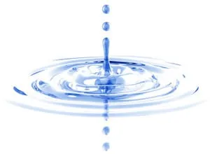 Slide of Water Damage Specialists