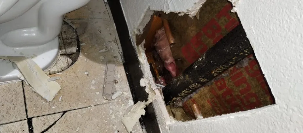 Reliable water heater service service in Cheyenne, WY - Water Of Life Plumbing And Heating