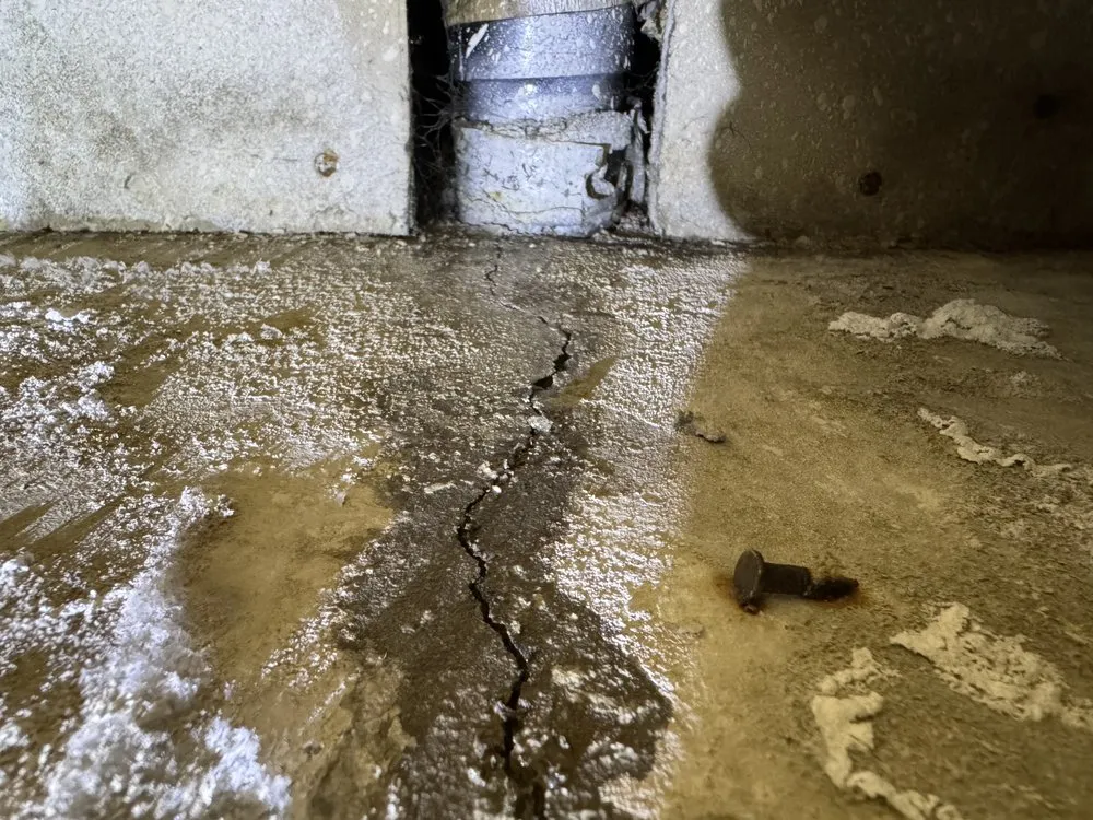 Expert drain cleaning in Hayward, CA by Water Shield Leak Detection