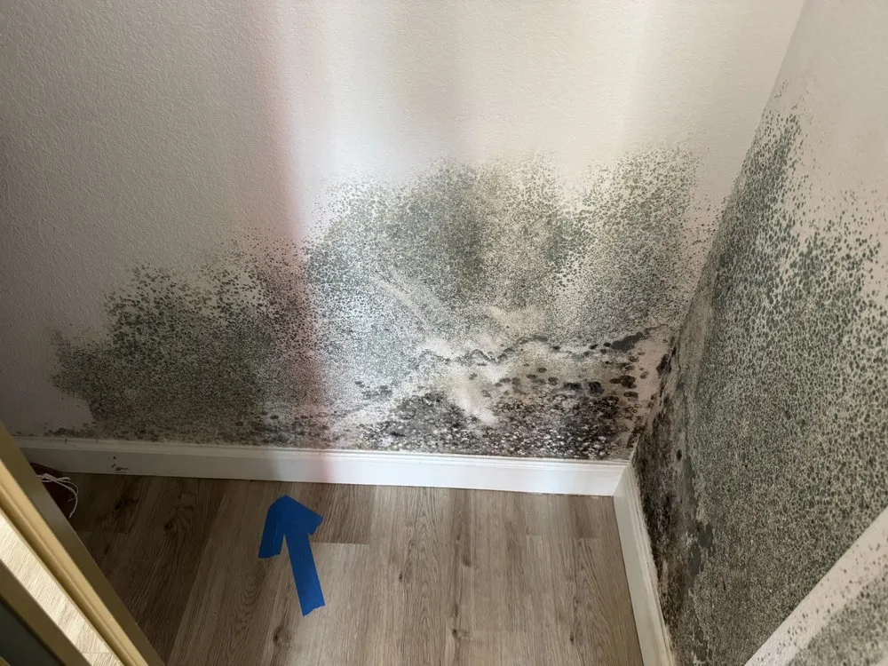 Trusted emergency plumbing service in Hayward, CA - Water Shield Leak Detection