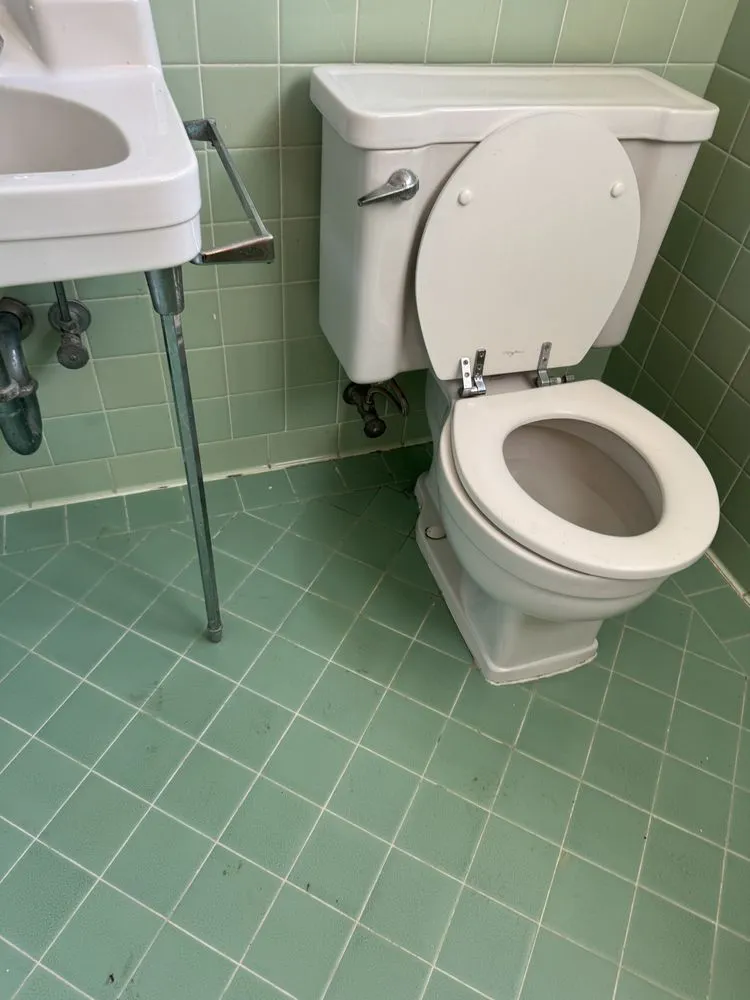 Professional drain cleaning for homes in Hayward, CA by Water Shield Leak Detection