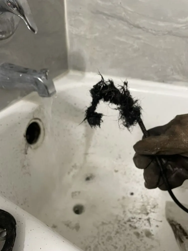 Slide of Water Snake Drain Service