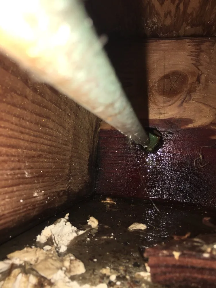 Slide of Water Tite Plumbing & Drains