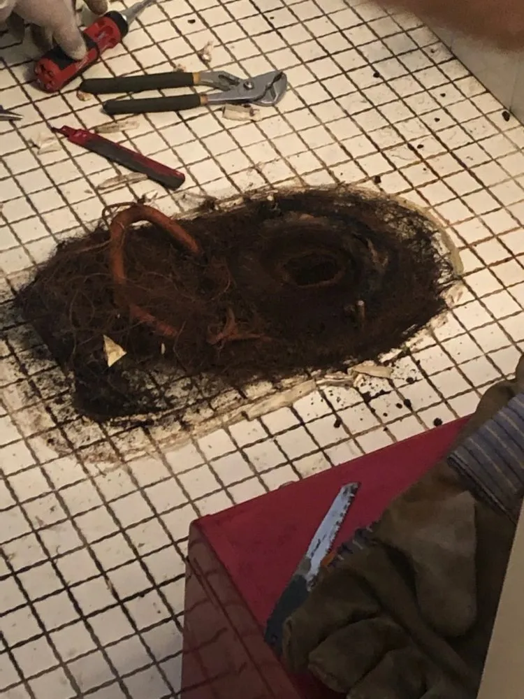 Slide of Water wolves