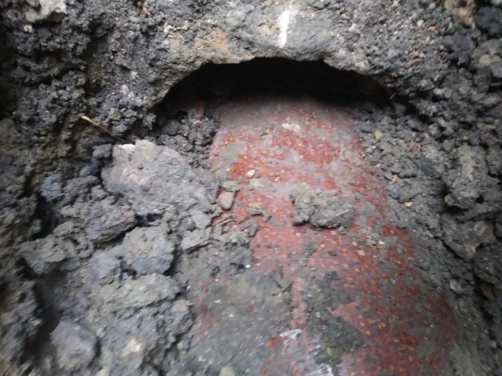 Slide of Water wolves