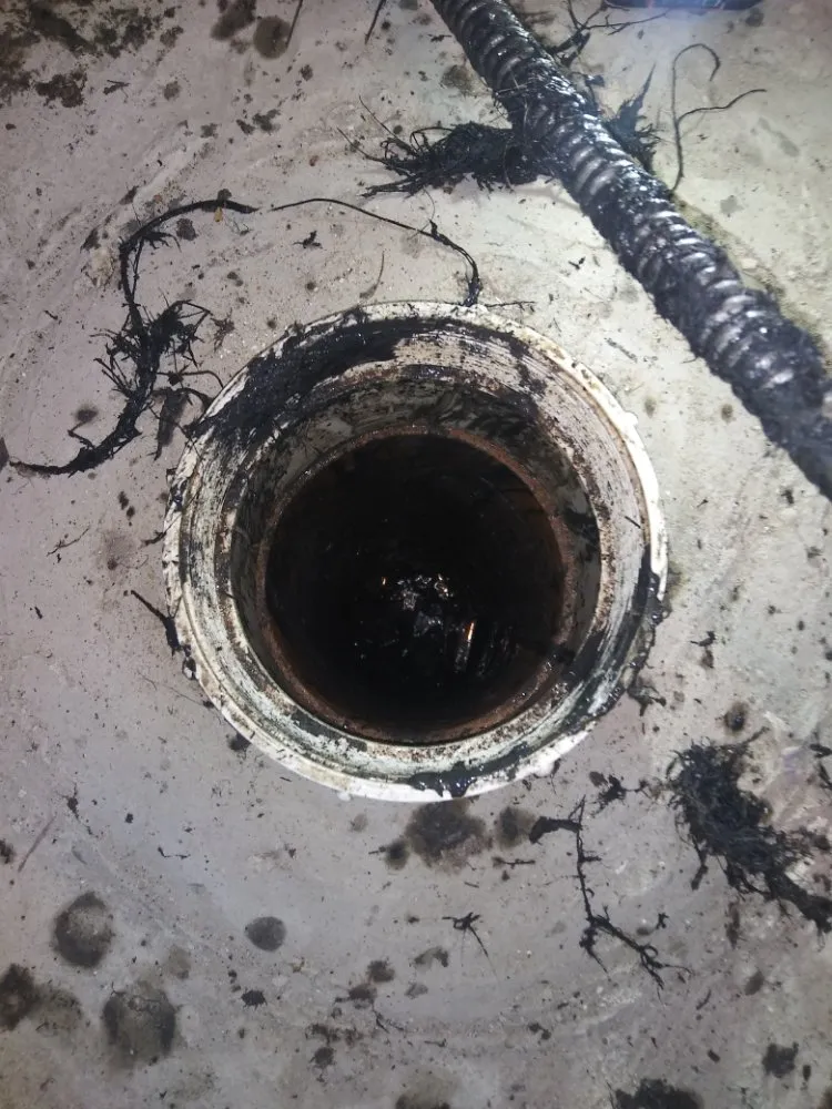 Slide of Water wolves