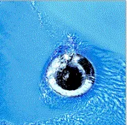 Slide of Waterford Hardware & Services