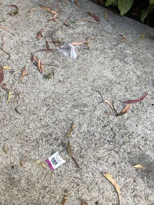 Watertight Plumbing Logo