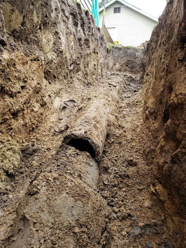 Affordable leak detection in Mountlake Terrace, WA by Waterways Plumbing and Drain Cleaning