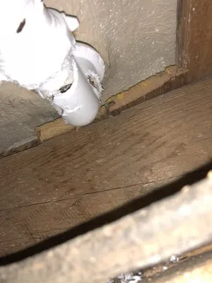 Wats Plumbing, Willie Yell