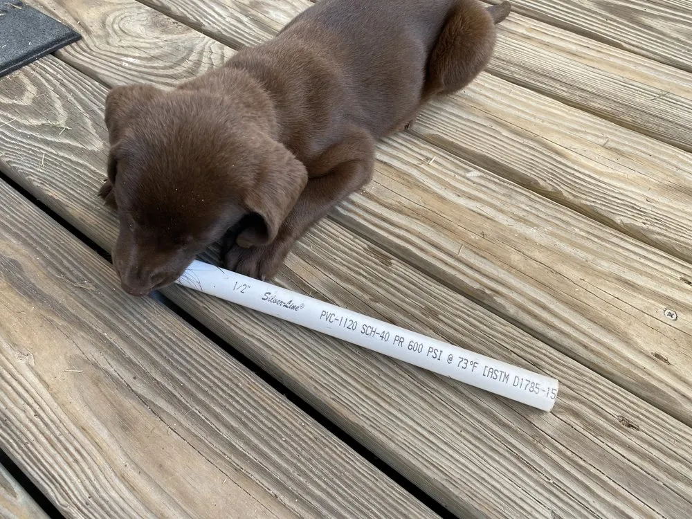 Slide of Watts Residential Services