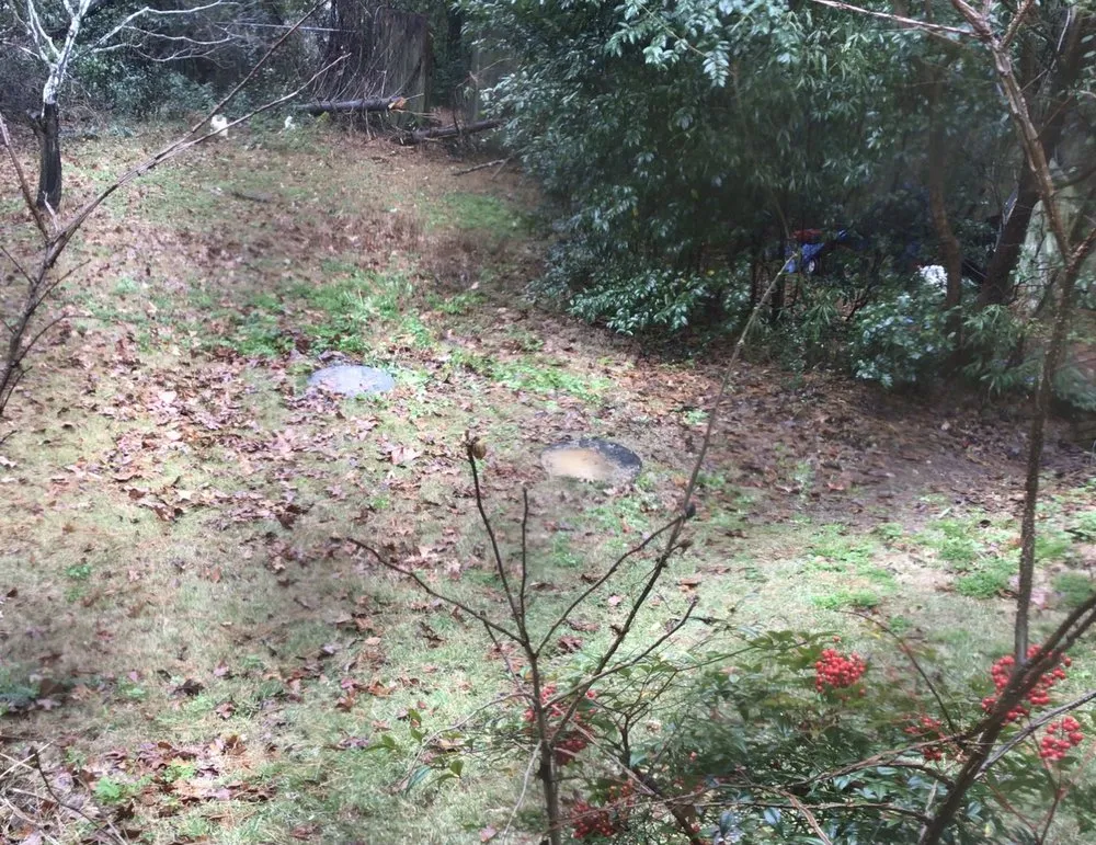 Slide of Wayne Pickle Septic Tank And Plumbing