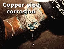 Slide of W.C. Service Company