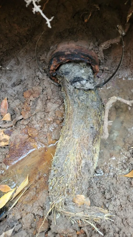 Top-rated plumbing repair service in Woodland, CA - WDLD Water Heater & Plumbing