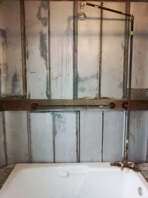 WDT Handyman & Home Maintenance