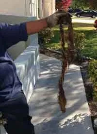 Slide of We Know Plumbing