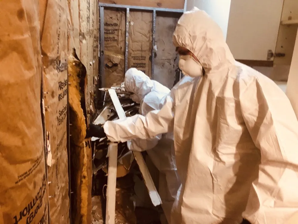 Emergency leak detection service in Philadelphia, PA - We The Plumbers