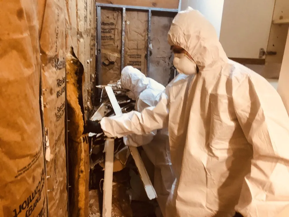 Slide of We The Plumbers