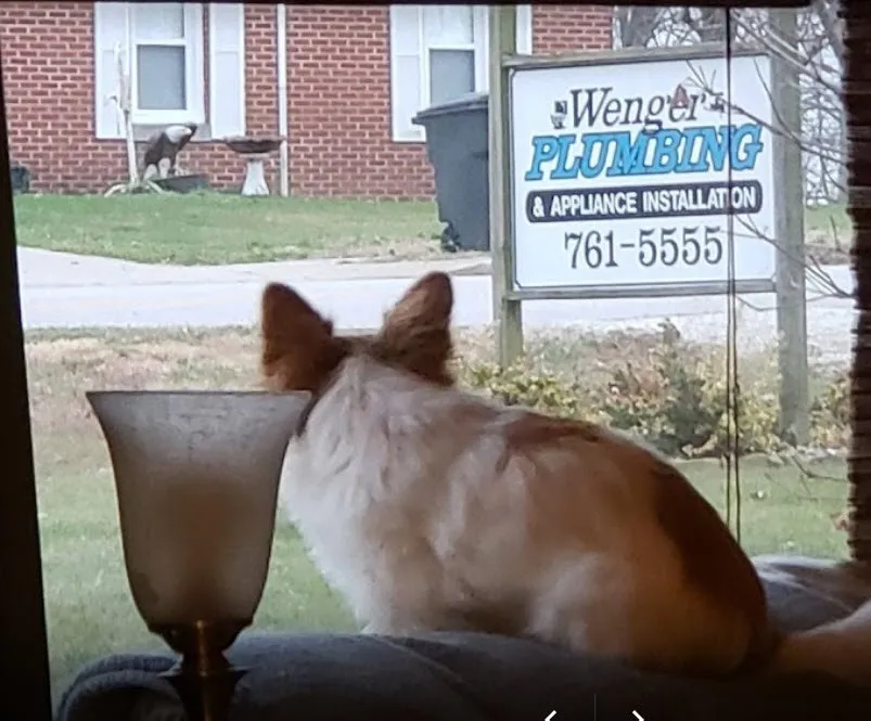 Slide of Wenger Plumbing & Appliance Installation