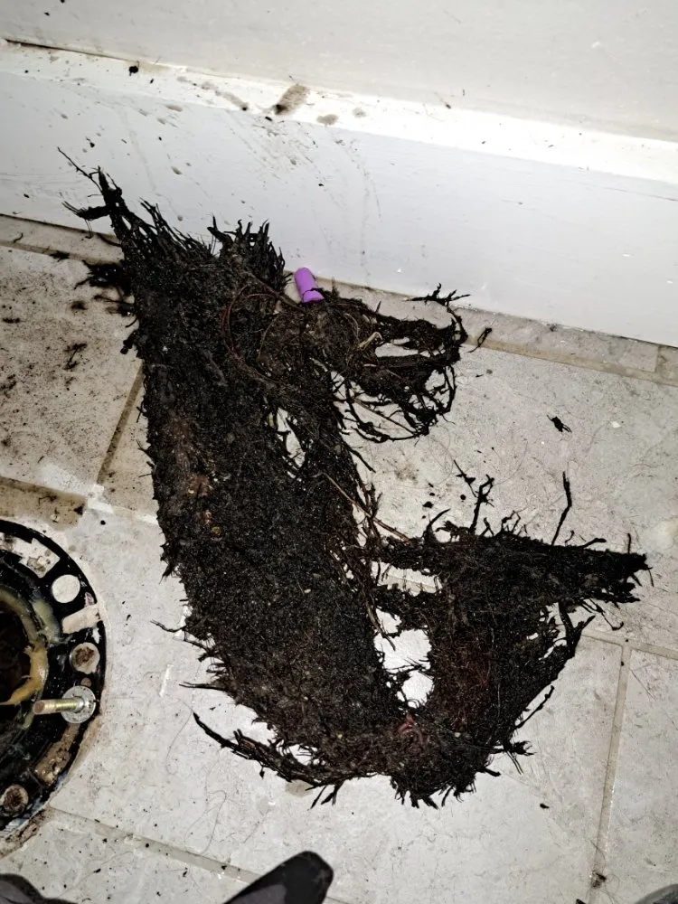 Slide of Werner & Crew Sewer Services