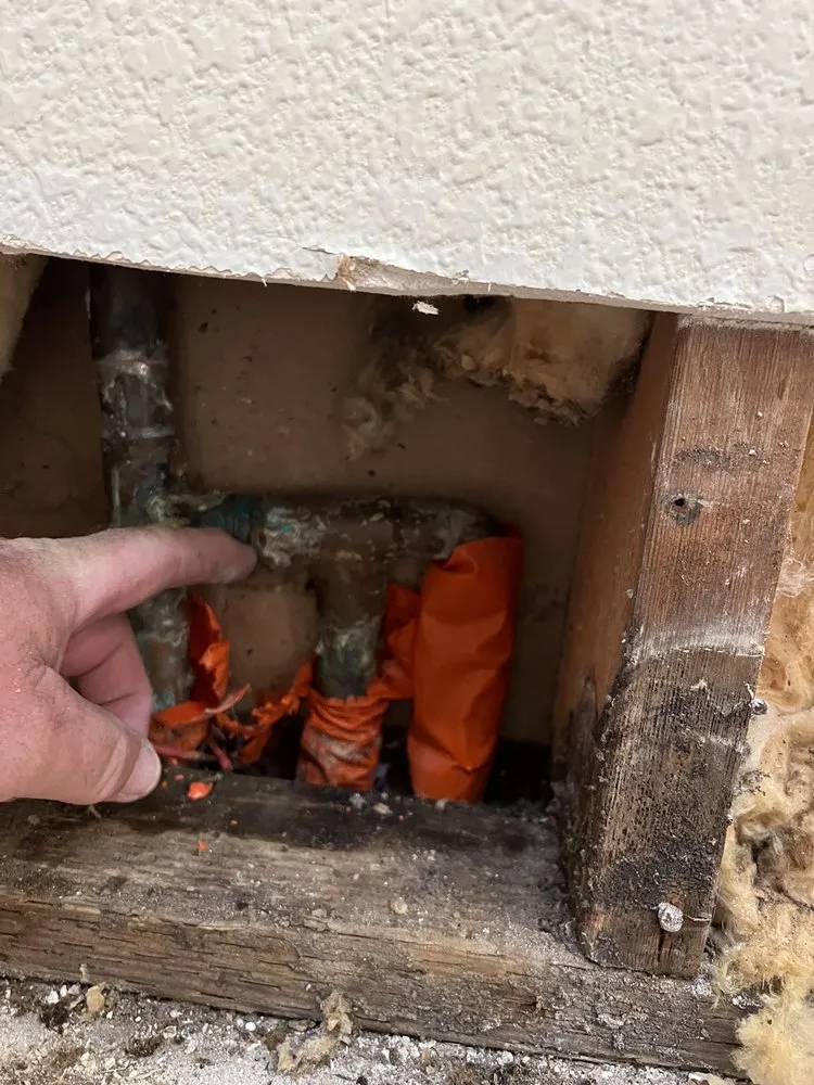 Slide of Werner's Plumbing Royal Treatment