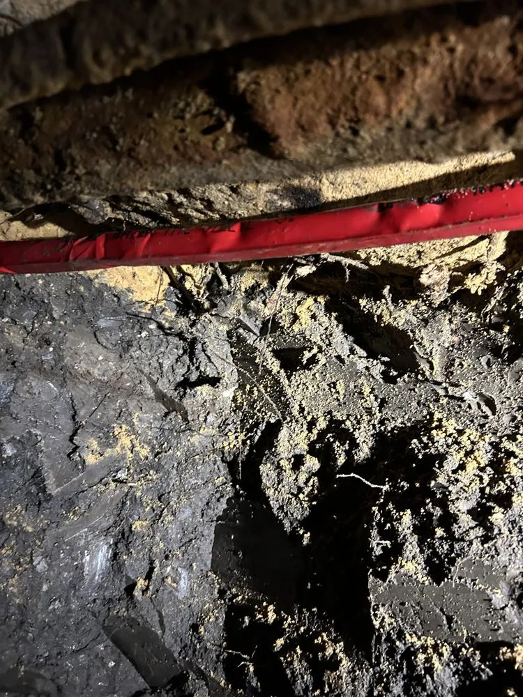 Slide of Wesley Pipes Leak Detection