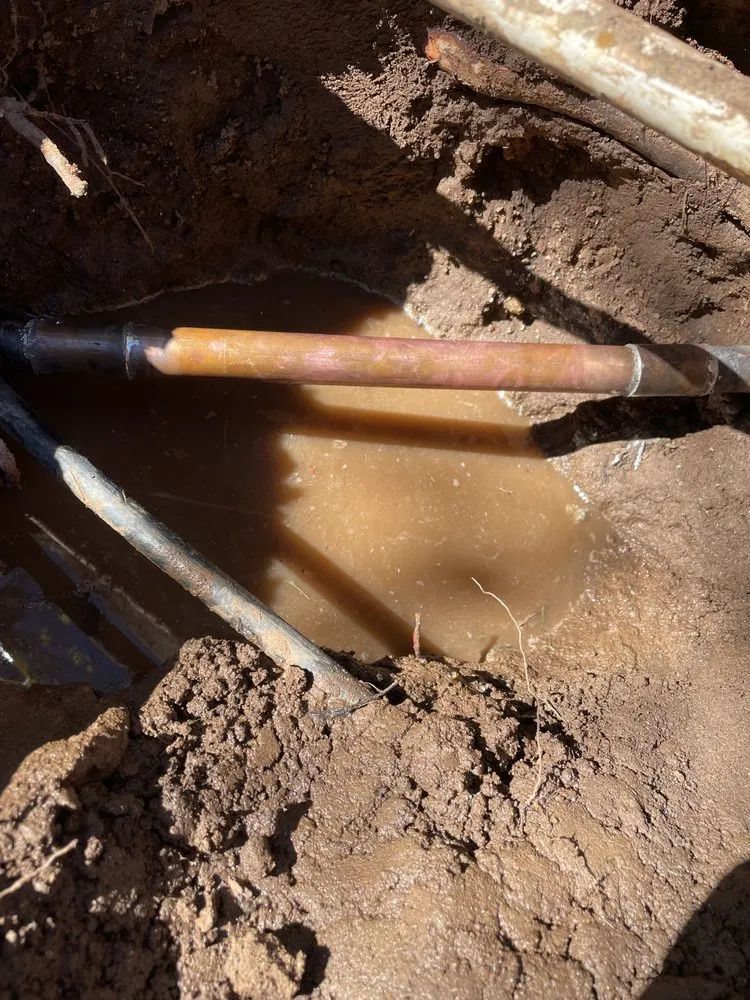 Slide of West Coast Drains and Plumbing