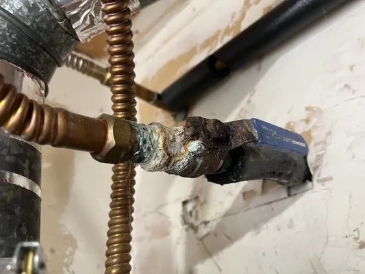 West Coast Drains and Plumbing Logo