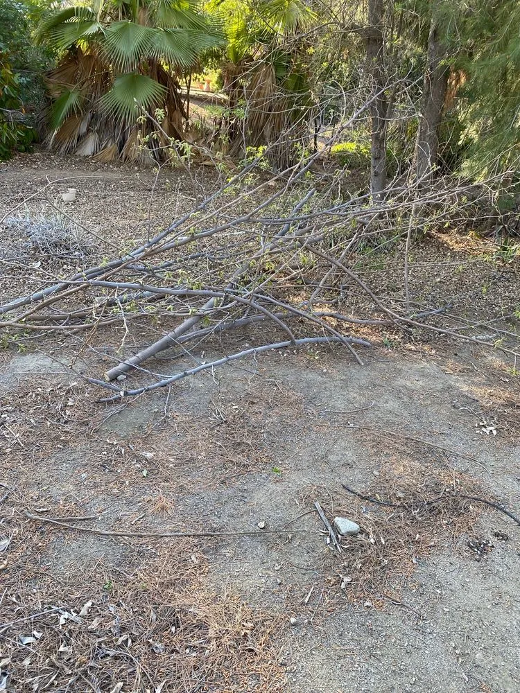 Slide of West Coast Sanitation